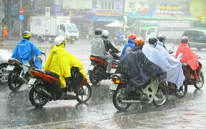 TP.HCM lại mưa xối xả, xuất hiện tình trạng đổ cây Ảnh 2