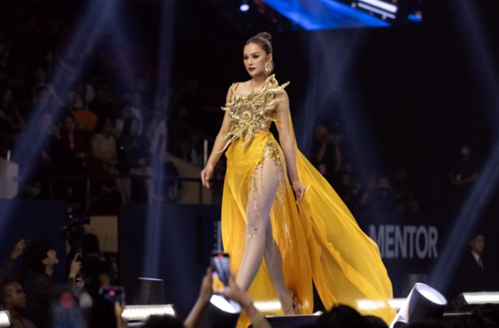 Lê Thu Trang chưa đến Liên hoan phim Cannes 2024 vì gặp trục trặc về visa.