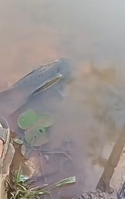 Ngồi câu cá cả buổi không được, chàng trai giật mình khi nhìn xuống chân Ảnh 3