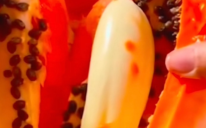 Bổ quả đu đủ gặp hiện tượng lạ, cộng đồng mạng tranh nhau vào giành Ảnh 2