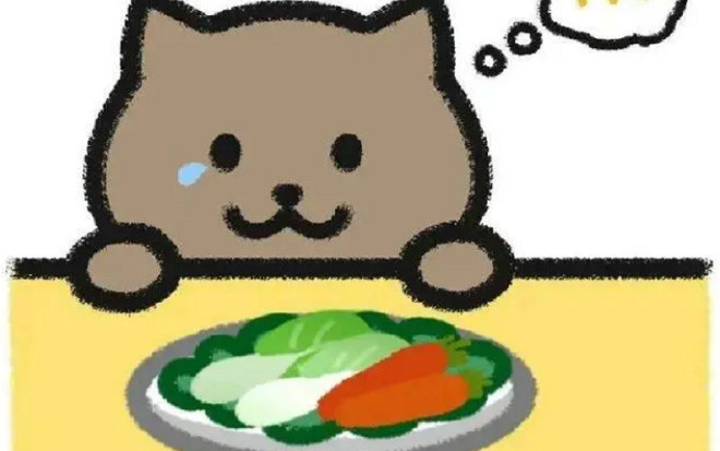 Sự thật bất ngờ vụ Mèo Béo: Bạn gái được minh oan Ảnh 2