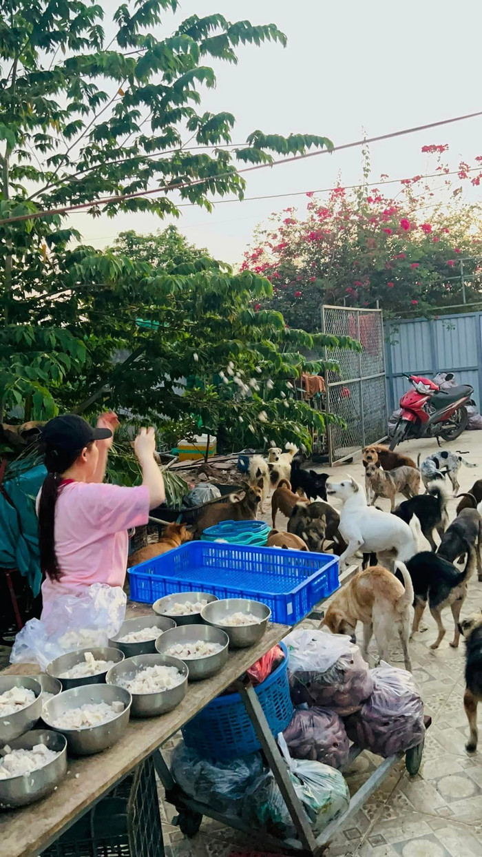 Cô chuẩn bị thức ăn cho chó.