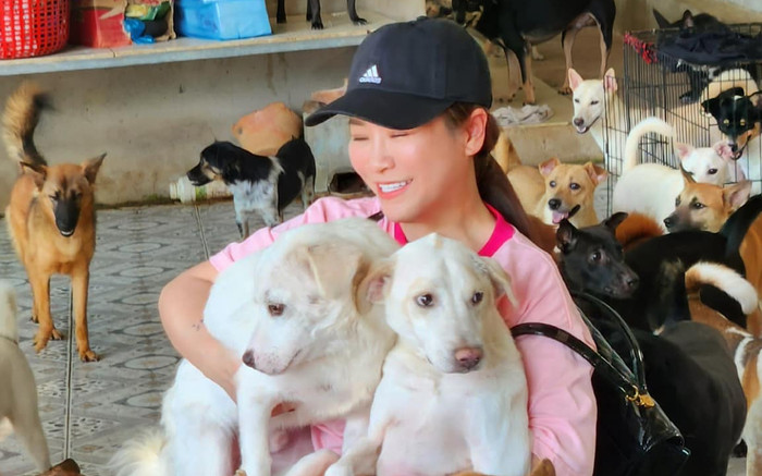 Nữ diễn viên lập mái ấm 1000m2 nuôi 400 con chó bị bỏ rơi, bệnh tật Ảnh 2