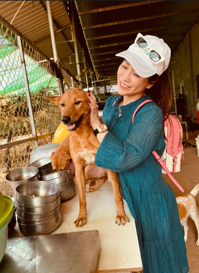 Hành động đẹp của Kiều Linh được dân mạng bấm like rần rần.