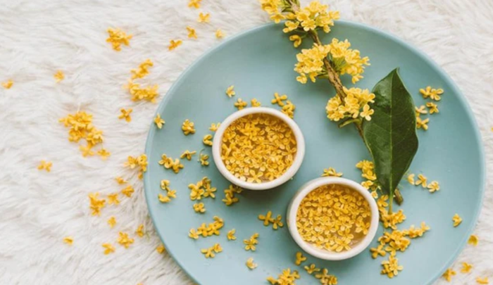 Loài cây có nhiều ở Việt Nam nhưng giá bạc tỷ, đại gia sẵn lòng vác bao tải tiền, gán thêm ô tô để mua Ảnh 2