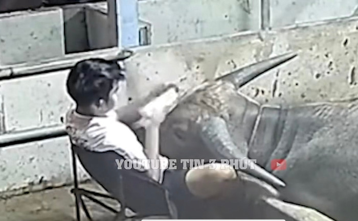 Chàng thanh niên rất 'cưng' người bạn nhỏ của mình.