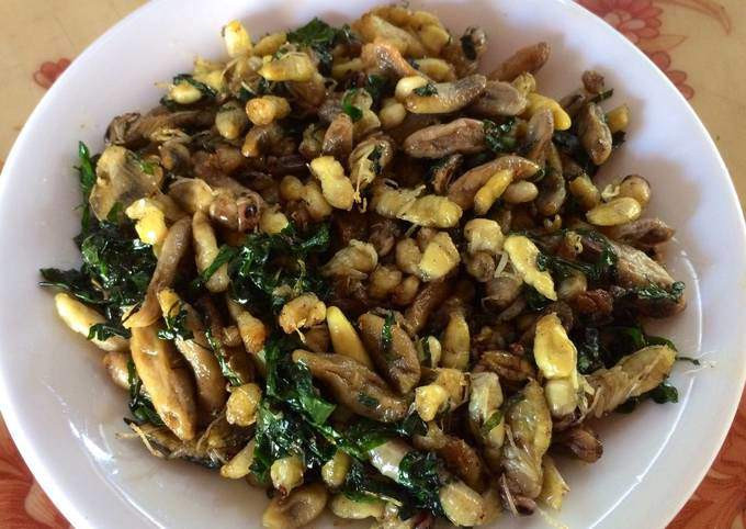 Món ấu trùng xong xào lá lốt vô cùng thơm ngon.