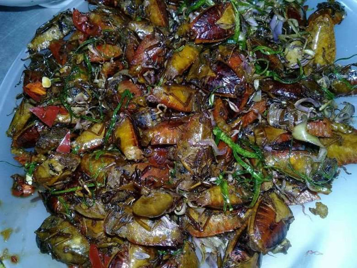 Bọ xít thành đặc sản ở Sơn La.