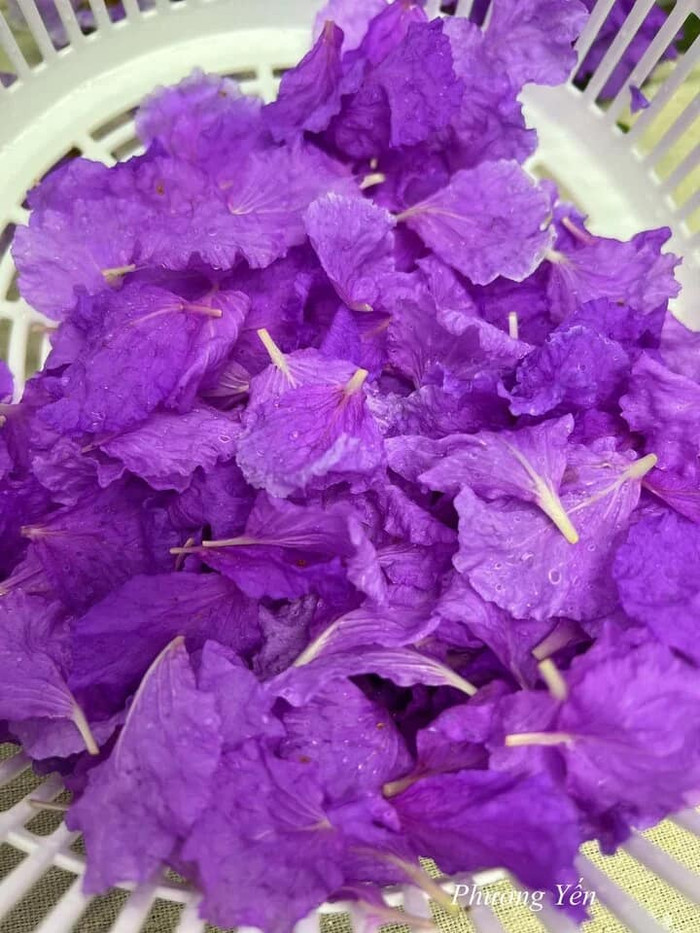 Loài hoa tím nở khắp đường phố Việt Nam giờ thành món gỏi khiến chị em mê tít Ảnh 5