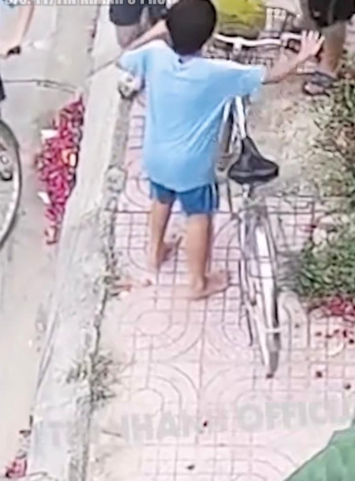 Các siêu trộm nhí đang tìm cách tẩu tán quả mít.