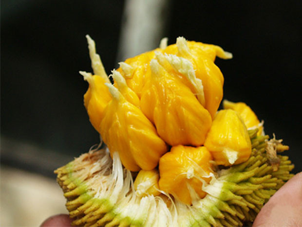 Mít nài có vị chua chua ngọt ngọt