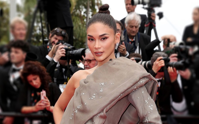 Đang tạo dáng hôn gió, Miss Universe 2015 bất ngờ bị an ninh 'đuổi' khỏi thảm đỏ Cannes Ảnh 2