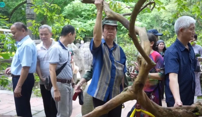 Du khách đến thăm quan sờ vào cây ổi để cảm nhận năng lượng đặc biệt.