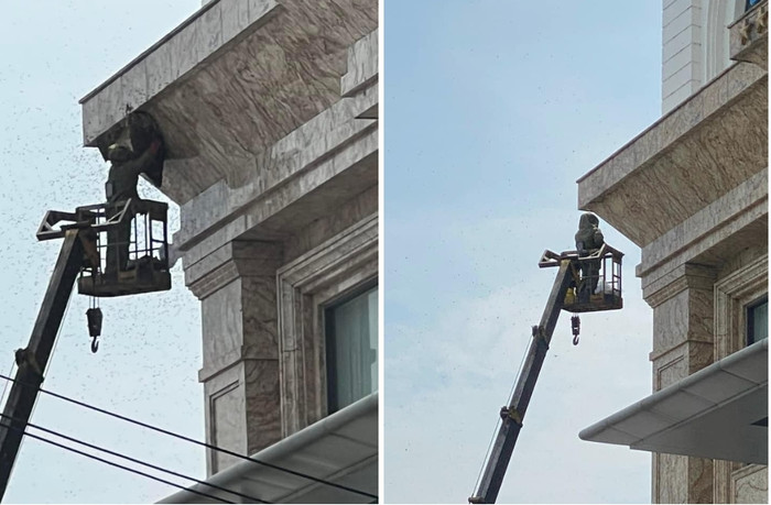 Hình ảnh tổ ong được phá dỡ
