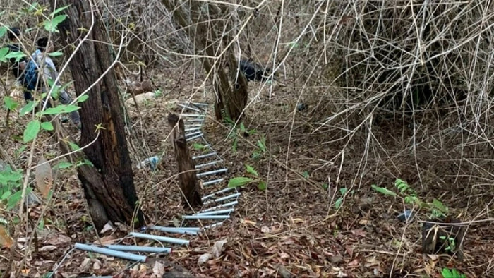 Hiện trường phát hiện thi thể cô gái trong vali. Ảnh: PLO