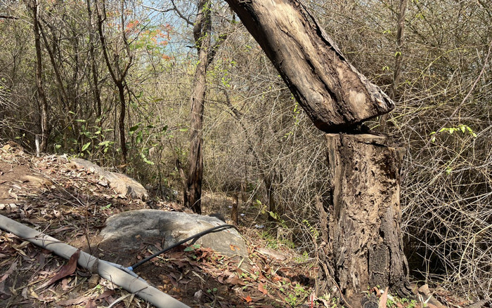 Vụ cô gái trong vali ở Vũng Tàu: Lời khai ban đầu của nghi phạm Ảnh 2