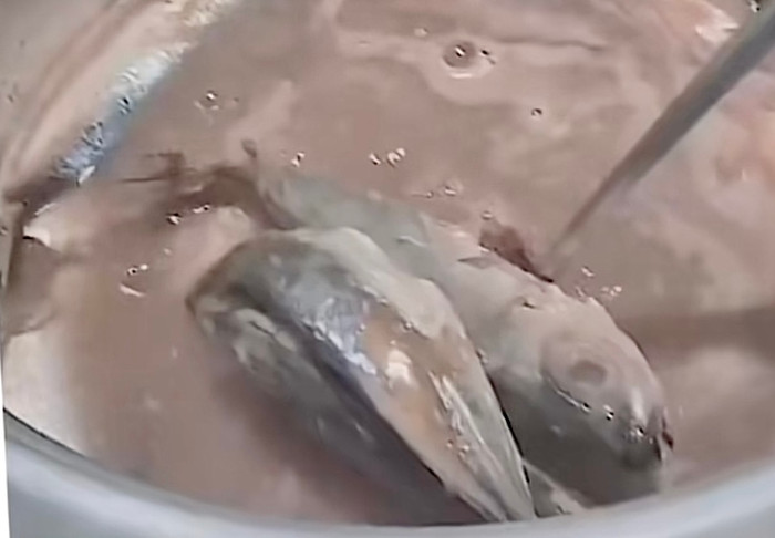 Món ăn để đời của cô gái.