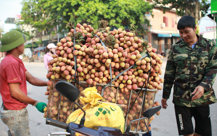 Chùm ảnh: Người dân Bắc Giang tất bật đi bán vải lúc sáng sớm Ảnh 2