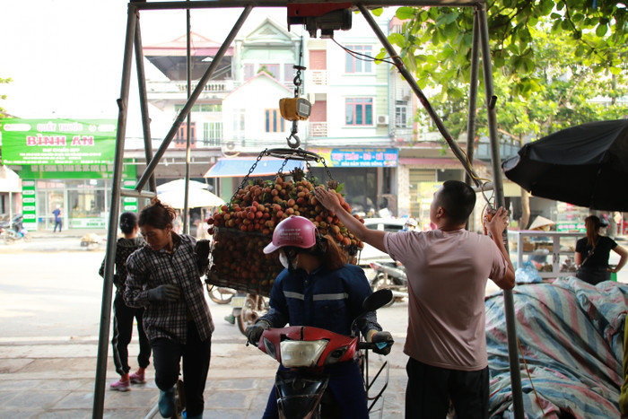 Tại chợ Kim - một trong những chợ đầu mối thu mua vải lớn nhất ở huyện Lục Ngạn, người dân ở khắp nơi chở những vựa vải lớn đem đến bán cho các thương lái.