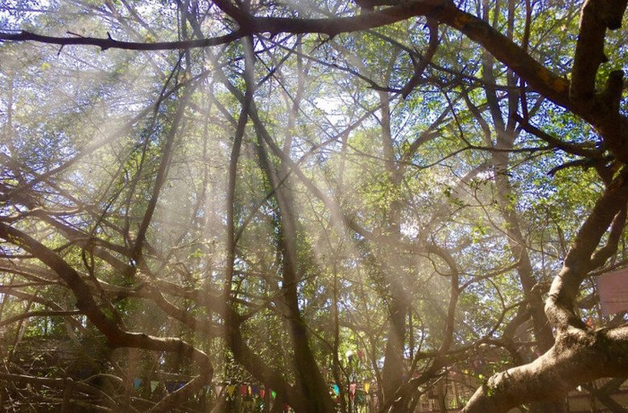 Vào bên trong giống như lạc mê cung