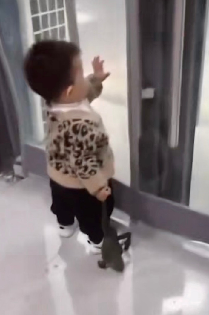 Trên tay cậu bé đang cầm một chú ếch to khiến người dì hết hồn hết vía.