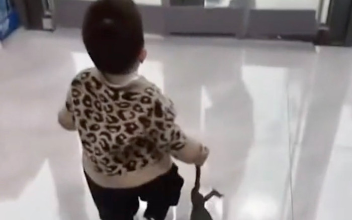 Thấy dì về thăm, cháu trai 3 tuổi mang quà ra tặng khiến dì chạy mất dép Ảnh 2