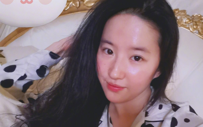 Hé lộ căn biệt thự 16.000m2 trị giá hàng nghìn tỷ đồng của Lưu Diệc Phi Ảnh 2