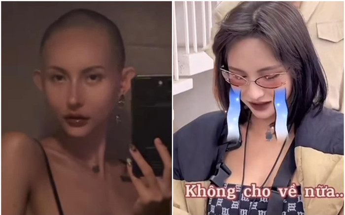 Dân tình đào lại clip Lâm Minh gọi điện xin Decao nhuộm tóc đỏ và cái kết bẽ bàng Ảnh 2