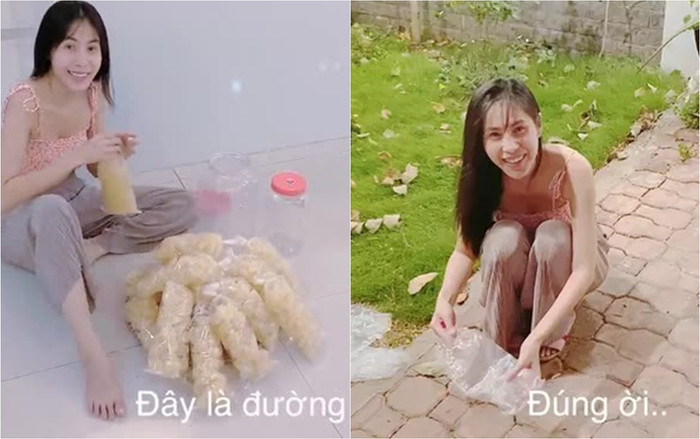Thủy Tiên từng đăng tải clip cho kiến ăn.