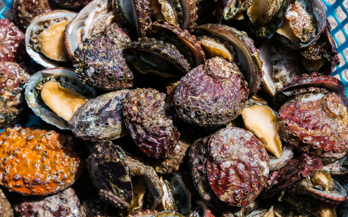 Đặc sản xưa ít người dám ăn, giờ được yêu thích vì bổ dưỡng, 800.000 đồng/kg Ảnh 2