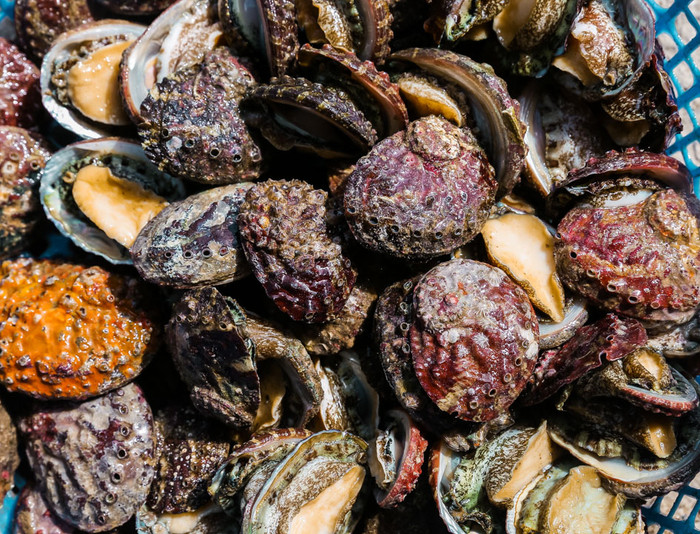 Bào ngư thuộc loài nhuyễn thể 2 mảnh với thân mềm.  