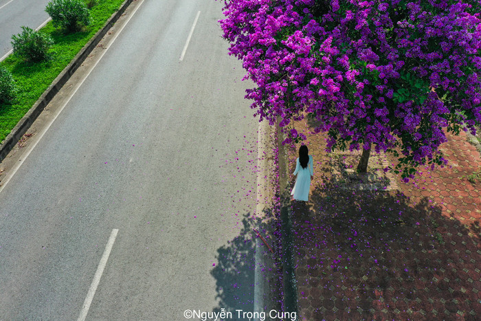 Với khung cảnh nên thơ thế này, không ít chị em đã tranh thủ chụp cho mình một bộ ảnh thật xinh đẹp.