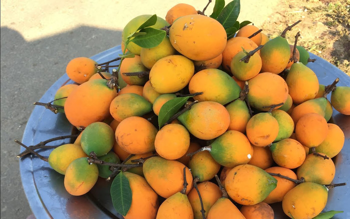 Loại quả xưa có đầy ít người biết, giờ thành đặc sản được dân thành phố 'săn lùng', 150.000 đồng/kg Ảnh 2