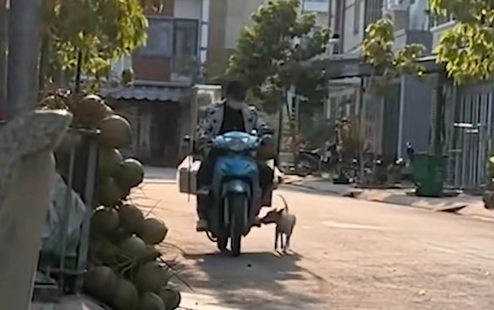 Chú chó thành mối ruột của chú bán hàng rong vì ghiền ăn trứng nướng Ảnh 2