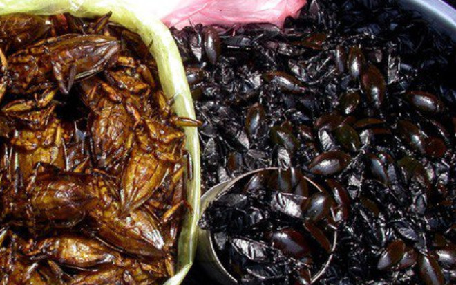 Đặc sản ai nhìn cũng 'nổi da gà', ăn thử một lần sẽ ấn tượng cả đời không quên Ảnh 2