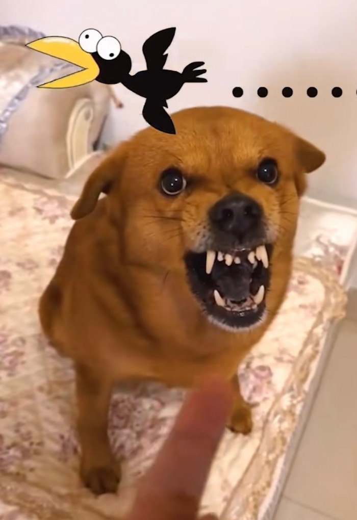 Tui là tui nhịn ông lâu lắm rồi đấy nhé!