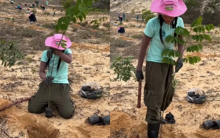 H'Hen Niê thực hiện dự án trồng 1ha rừng tại tỉnh Bình Thuận.