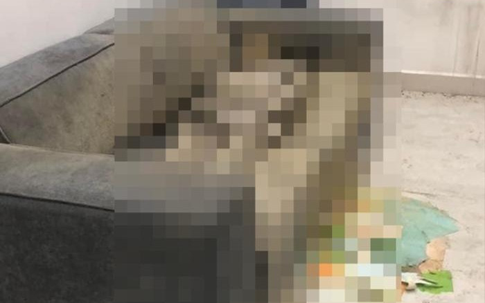 Vụ cô gái chết khô trên sofa: Có khả năng sử dụng thuốc khiến thi thể khô lại? Ảnh 2