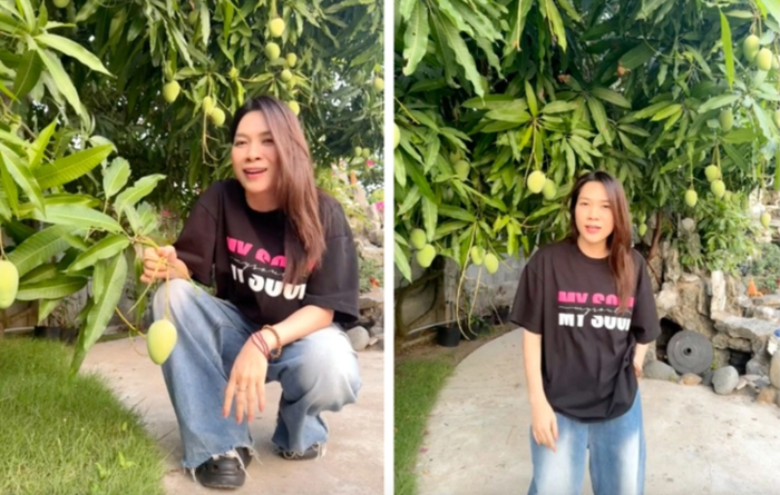 Khu vườn của Mỹ Tâm khiến cho dân mạng trầm trồ vì quá 'siêu trái'.