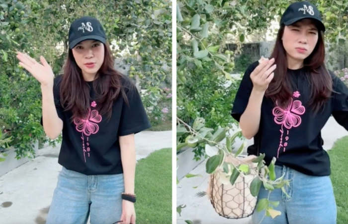 Trong đoạn video mới đăng tải trên TikTok, Mỹ Tâm đã flex cây táo với 2000 trái, khiến cư dân mạng trầm trồ không ngớt và ao ước được một lần ghé thăm.