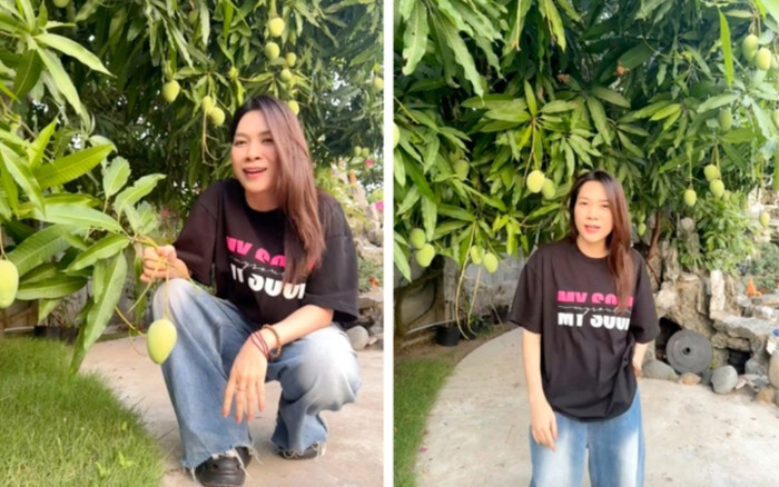 Mỹ Tâm flex khu vườn siêu trái: Táo mọc nghìn trái như nho, xoài sai quả tới mức 'xỉu lên xỉu xuống' Ảnh 2