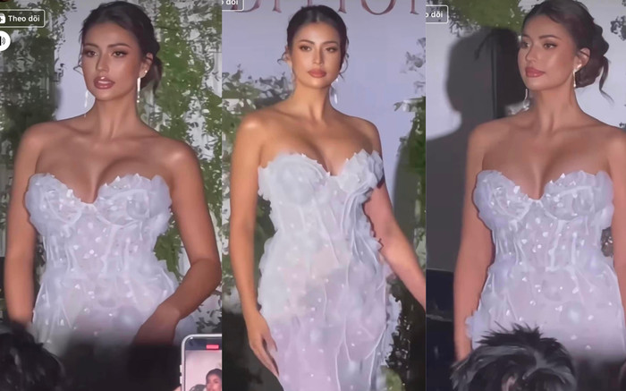 Sắc vóc Á hậu 1 - Miss Universe ra sao khi dự sự kiện tại Việt Nam? Ảnh 2