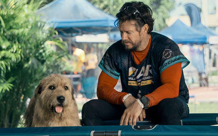 Phim chữa lành của tài tử Mark Wahlberg có gì mà được xem là đối thủ lớn của Lật Mặt 7? Ảnh 2