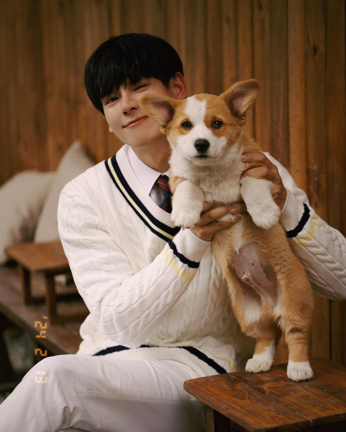 Thái Vũ sở hữu gương mặt chuẩn soái ca.