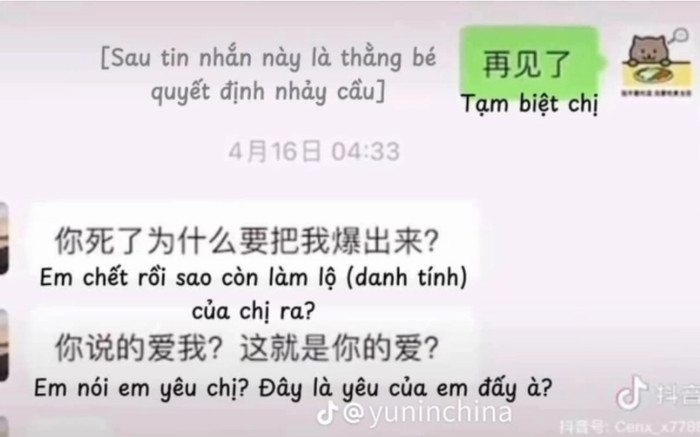 Vụ chàng trai 21 tuổi nhảy cầu tự tử: Bạn gái vẫn trách móc sau khi Mèo Béo mất Ảnh 2