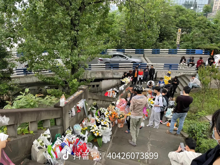 Cư dân mạng gửi hoa và đồ ăn cho Mèo Béo.