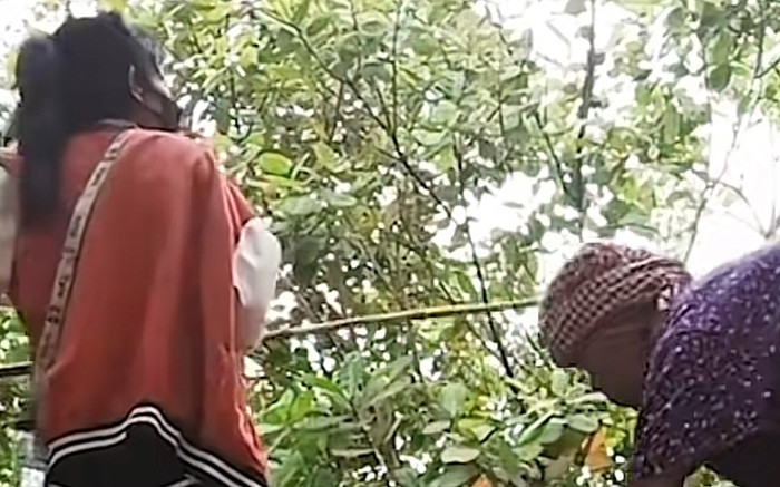 Đặt điện thoại livestream cảnh hái quả, bé gái bị chú chó giật điện thoại chạy mất Ảnh 2