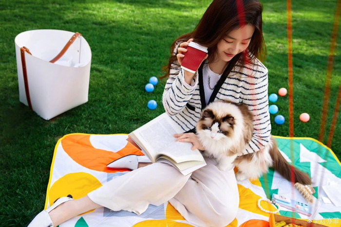 Giữa lúc netizen chỉ trích Lâm Canh Tân không sử dụng giọng thật trong Câu Chuyện Hoa Hồng, Lưu Diệc Phi lại khoe hình chụp với thú cưng, vô tình gây ra tranh cãi trái chiều.