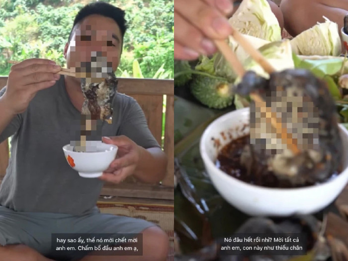 Clip mukbang ếch đồng nguyên con của thanh niên khiến dân mạng ngán ngẩm.