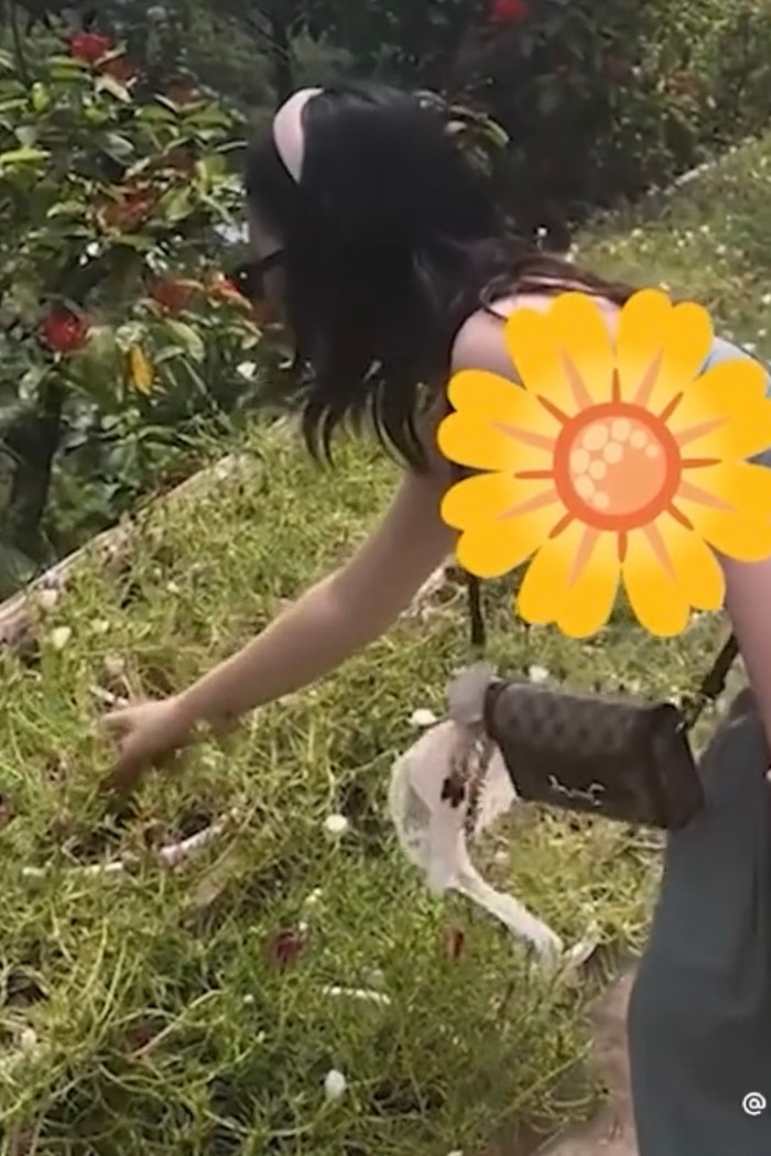 Chủ vườn bị nữ du khách bắt bẻ loài hoa không nở đúng giờ, giải thích một câu quá hợp lý Ảnh 1